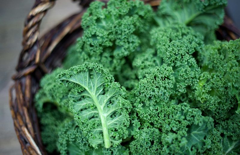 Kale