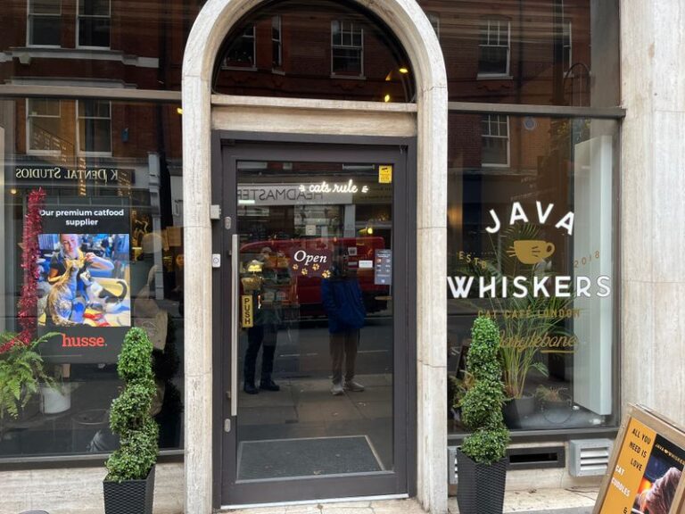 Enjoy Coffee And Cuddles At Java Whiskers Cat Café In London