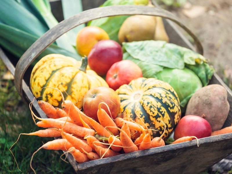 Unseasonal Fruits And Vegetables 