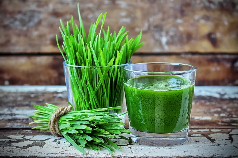 Wheatgrass Shots