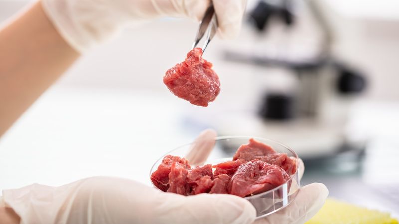 Alternative Proteins Redefine What's On Our Plates