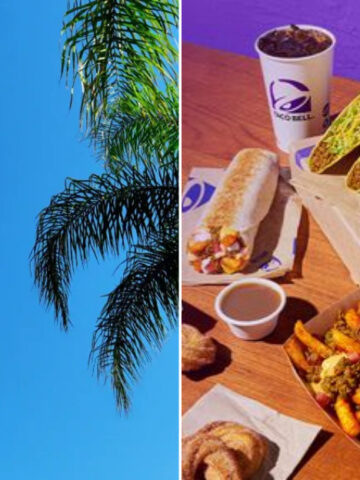 I Tried Taco Bell's Hidden Gem And Lived To Share The Experience