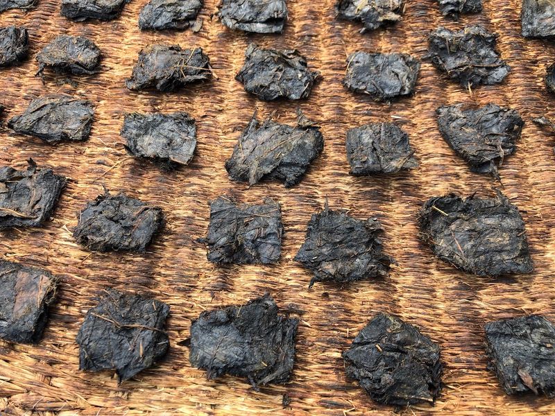 Goishicha Fermented Tea