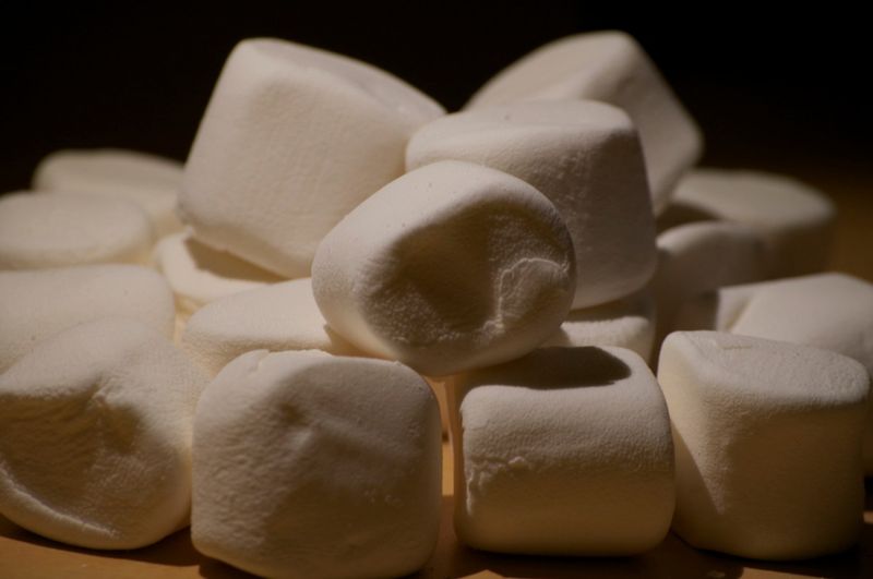 Most Marshmallows Eaten In One Minute (No Hands)