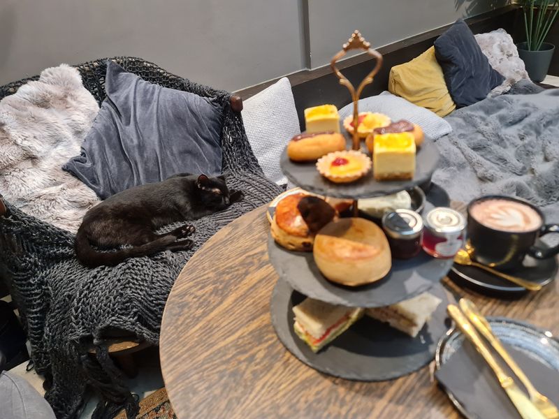 Coffee, Tea, And Treats