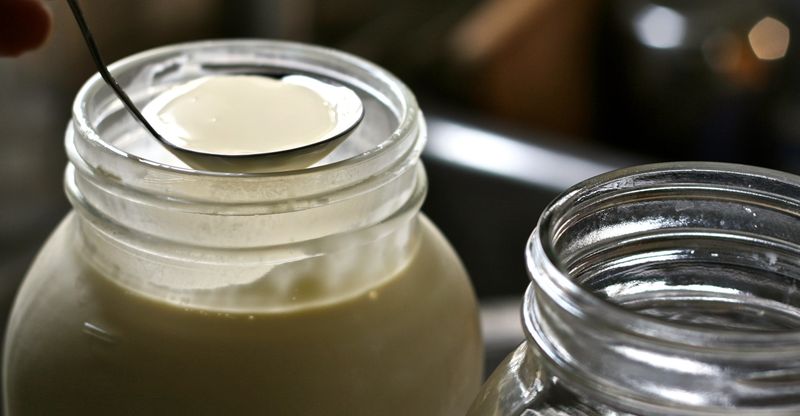 Raw Milk And Unpasteurised Dairy
