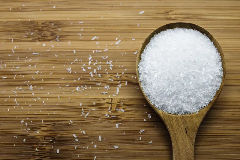 Monosodium Glutamate