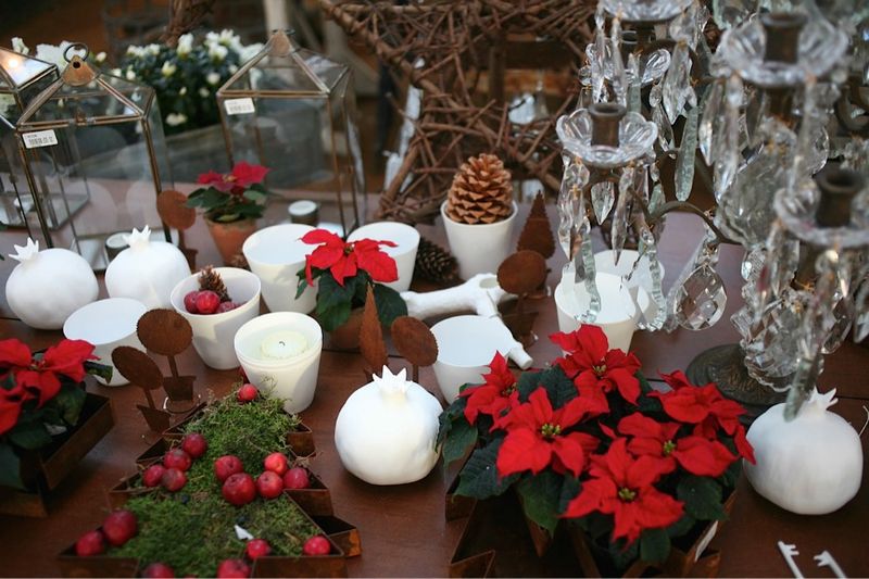 A Winter Experience That Goes Beyond The Food