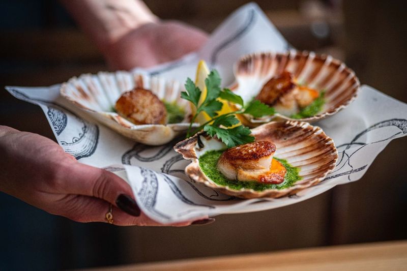 The Scallop Shell