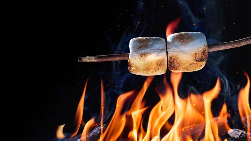 Roast Marshmallows