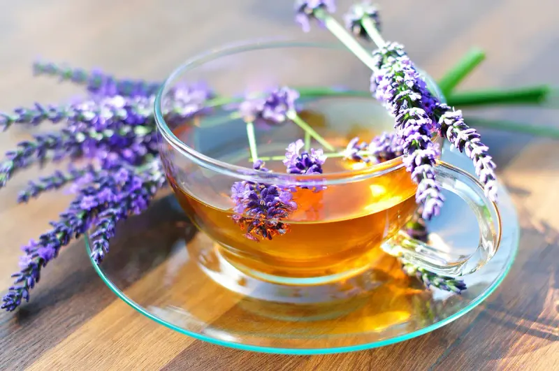 Lavender Tea