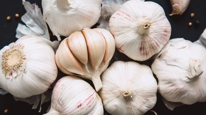 Garlic