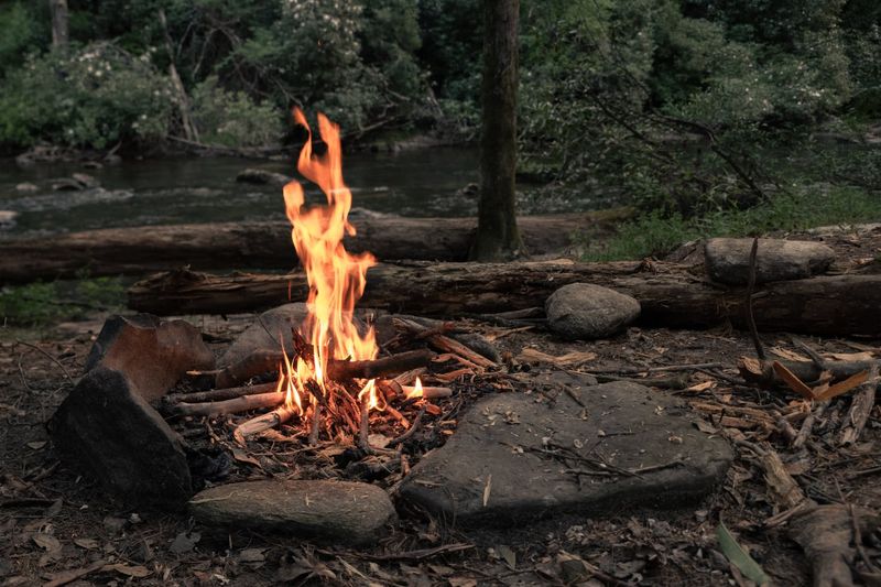Ancient Beginnings: Fire And Early Cooking Changed Everything