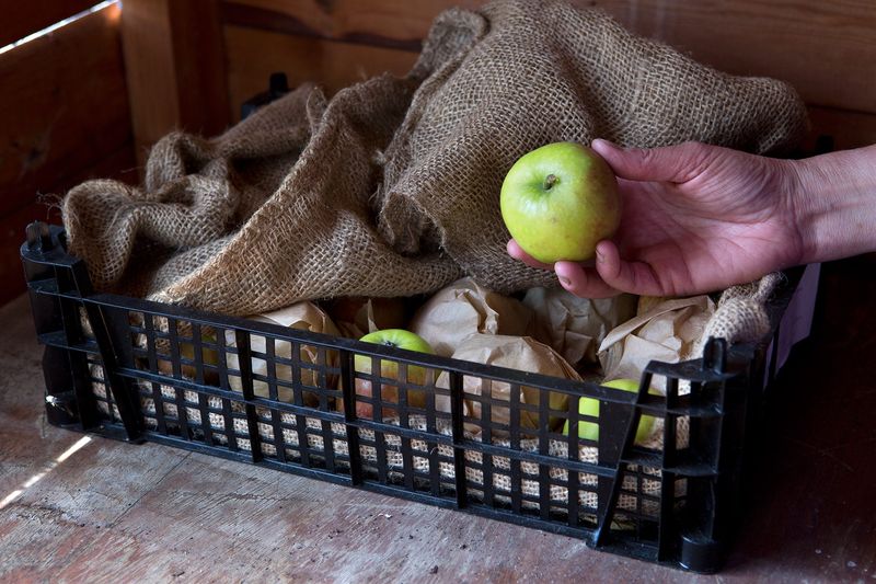 The Best Places To Store Apples During Colder Weather