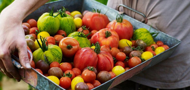 Sustainable Sourcing At The Heart Of Every Plate