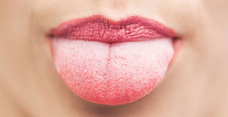 Taste Buds Regenerate Naturally