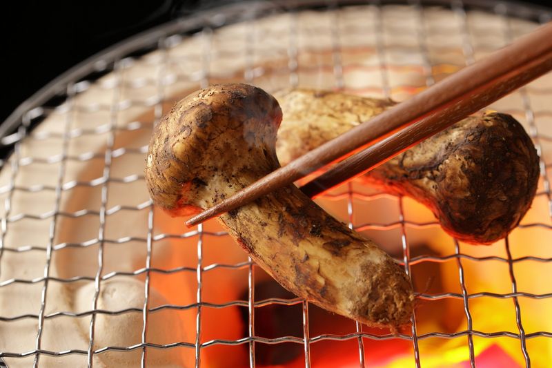 Matsutake