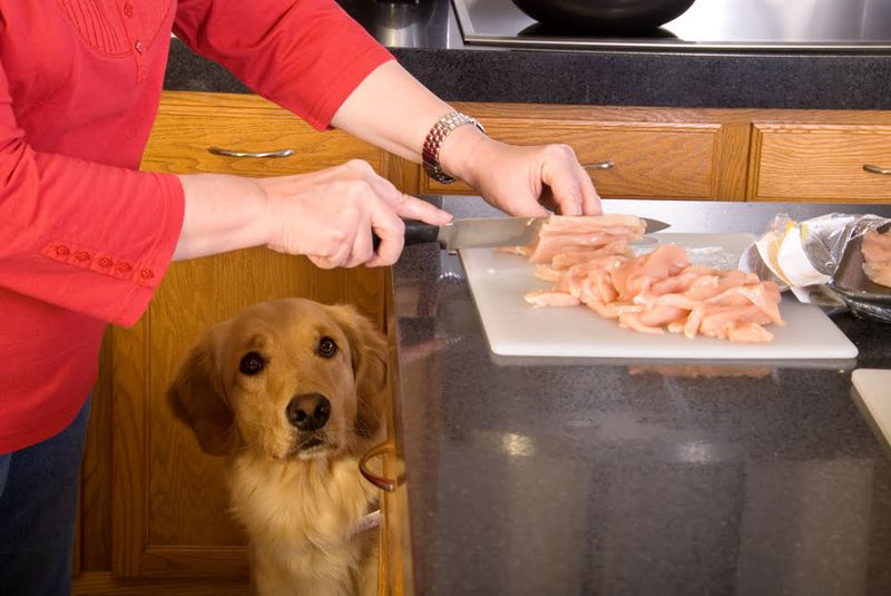 Cooked Chicken (Plain, Boneless)