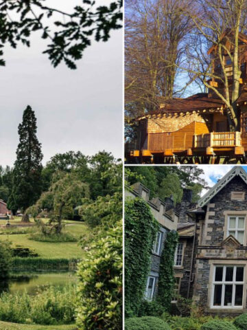 12 UK Forest Restaurants That Feel Miles Away From Everyday Life