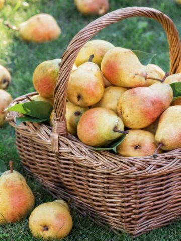 5 Reasons Pears Are Underrated And 7 Easy Ways To Add Them To Your Daily Diet