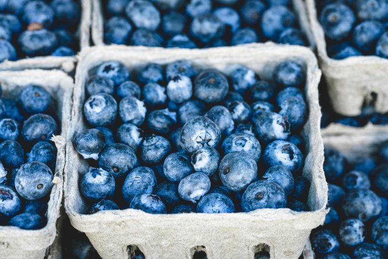 Ways To Enjoy Blueberries