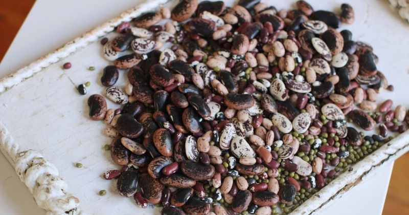 Spill The Beans