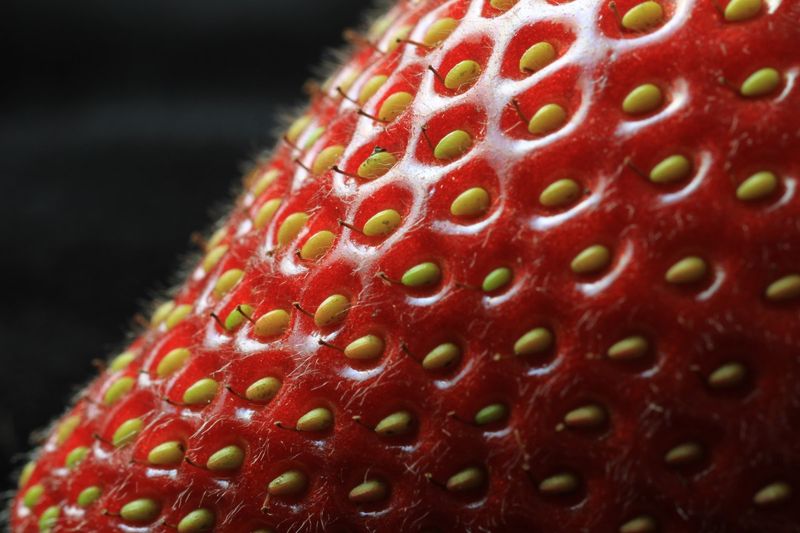 Strawberries Are Not True Berries
