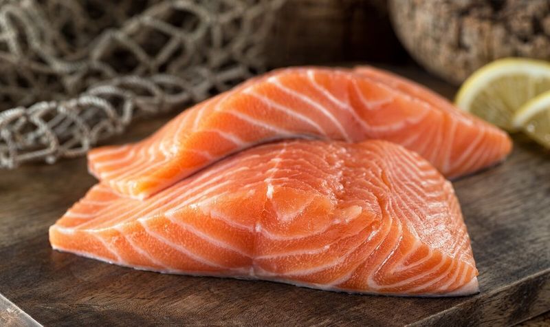 Salmon