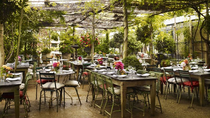 Petersham Nurseries Restaurant