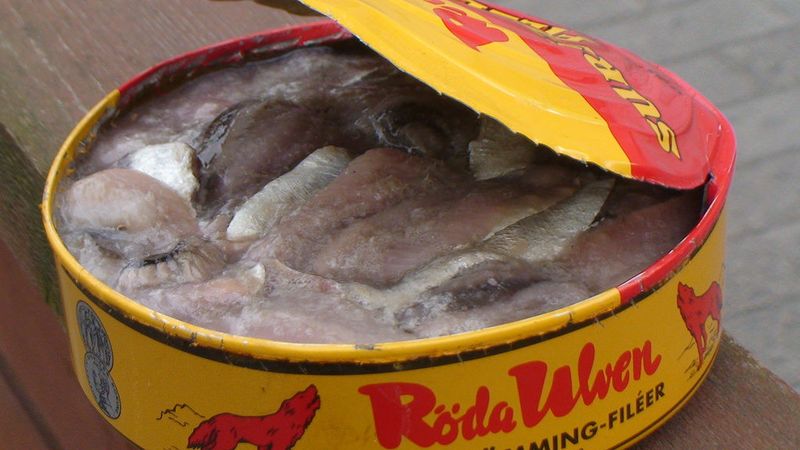 Surströmming (Sweden)