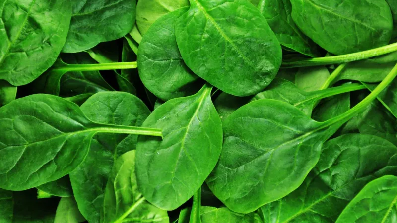 Leafy Green Vegetables