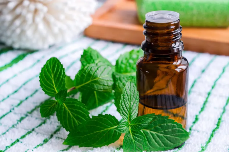 Peppermint Oil