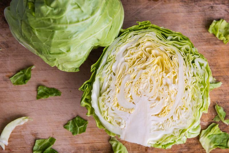 Cabbage