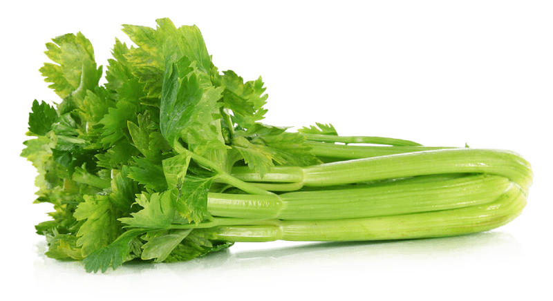 Celery
