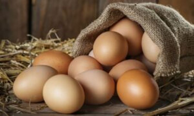 Eggs