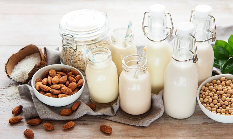 Fortified Plant Milks