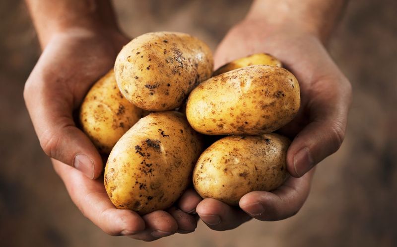 Potatoes