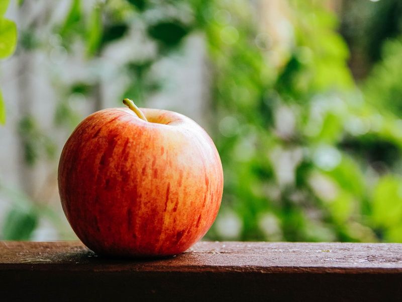Symbol Of Simplicity And Everyday Nutrition