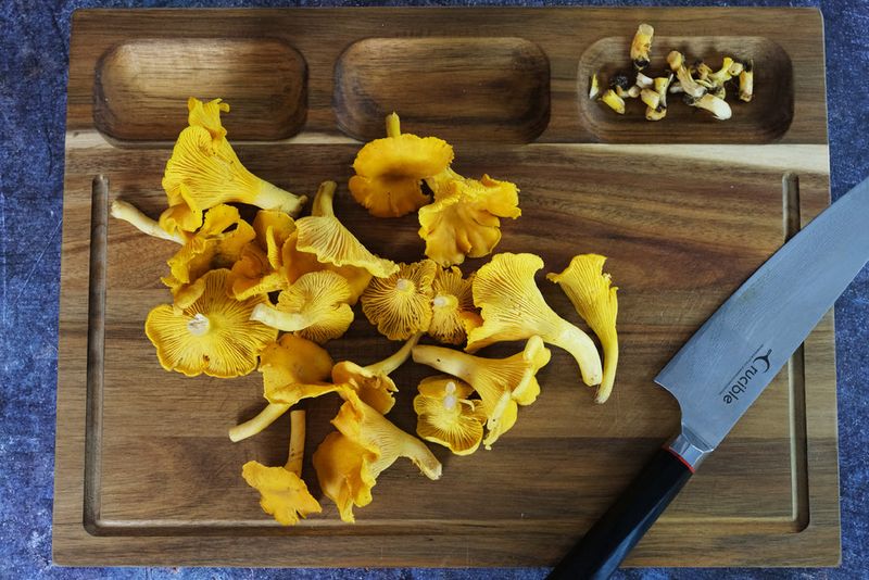 Chanterelle