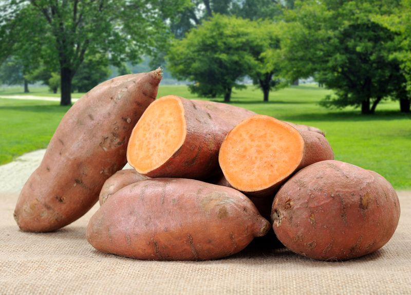 Sweet Potatoes / Cassava