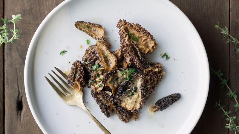 Morel
