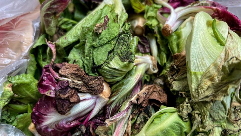 Pre-Made Salads
