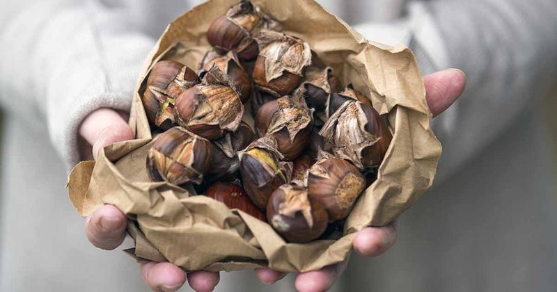 Roasted Chestnuts