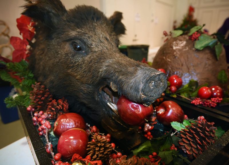 Boar's Head