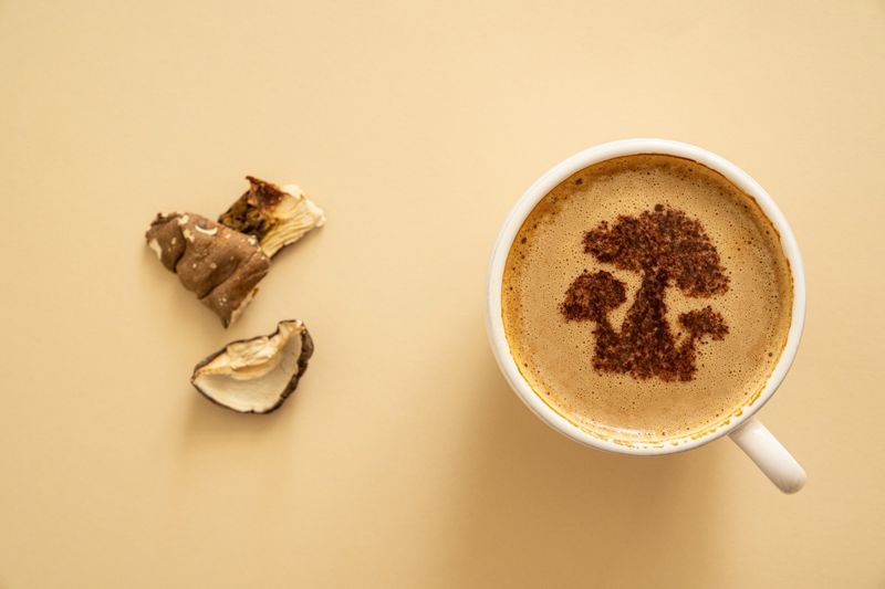 Chaga Latte