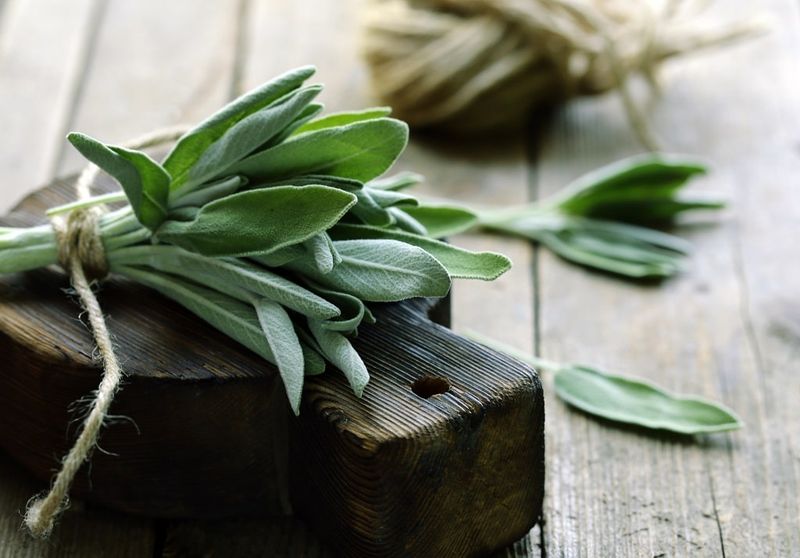 Sage