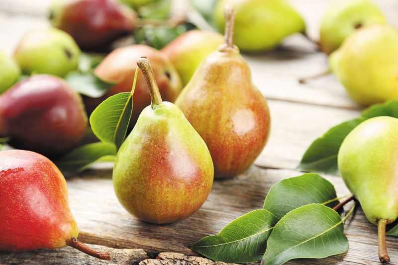 Packed With Fibre For Digestion