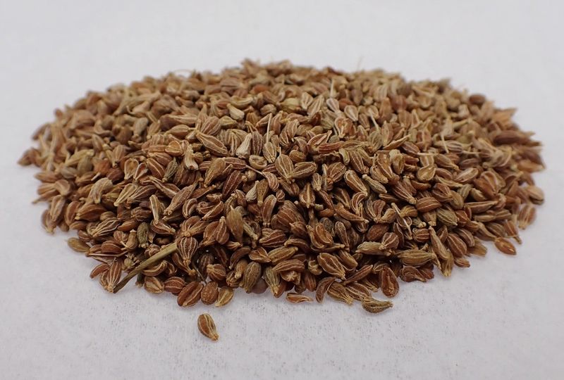Aniseed