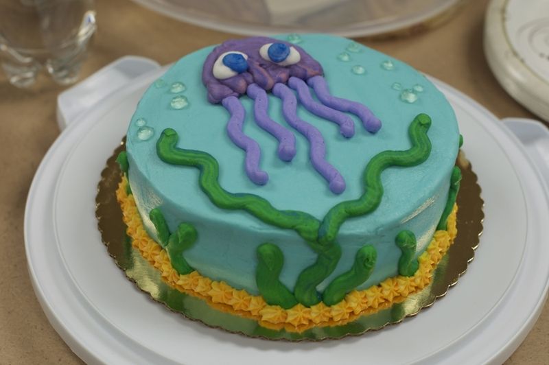 Jellyfish Cake