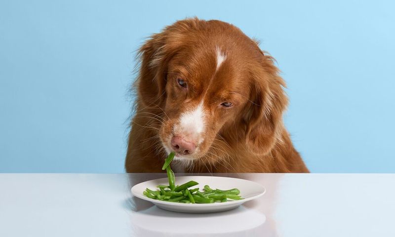 Green Beans (Raw Or Lightly Cooked)